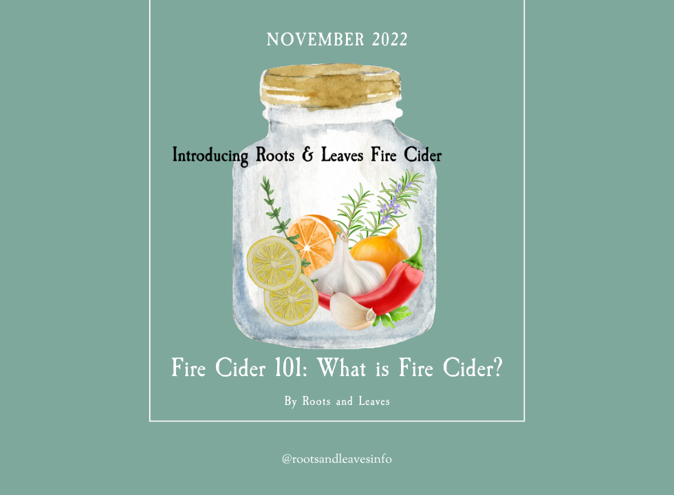 Fire Cider 101: What is Fire Cider?