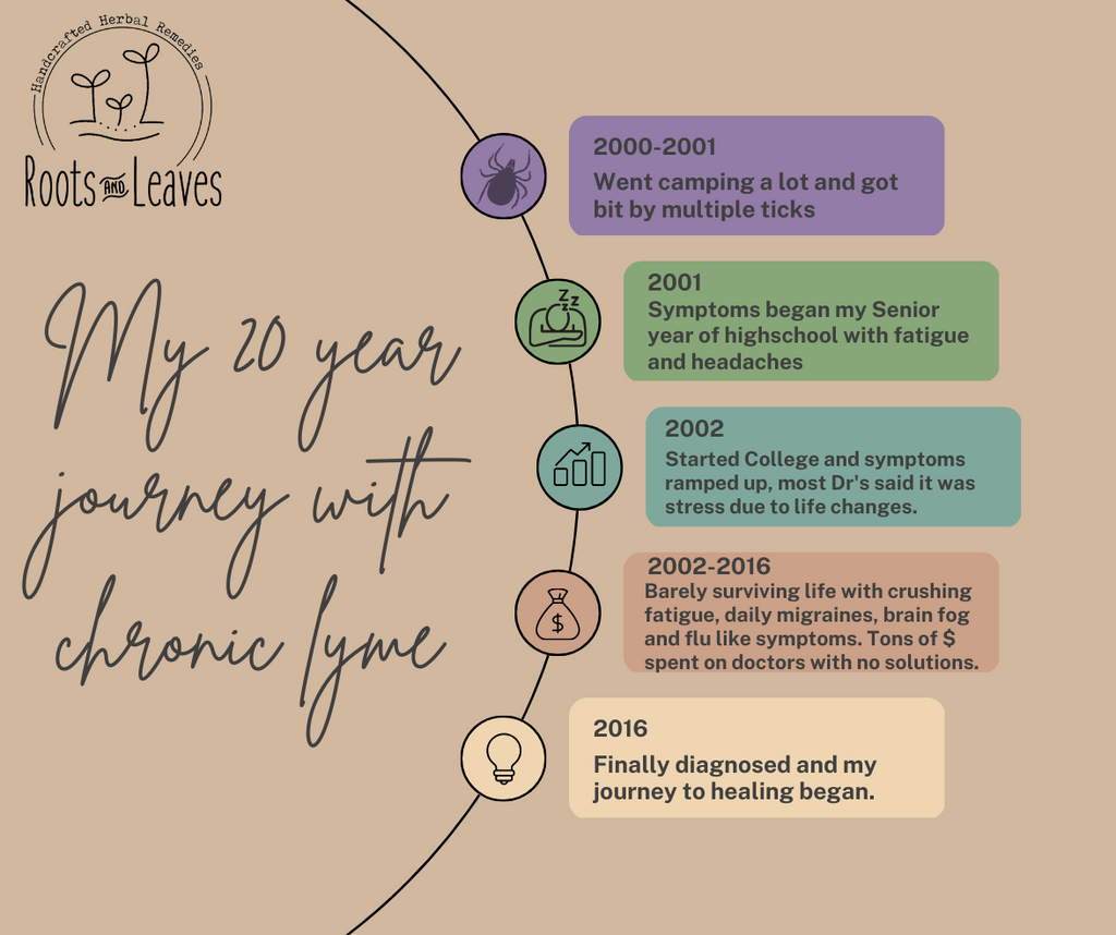 My 20 year journey with Chronic Lyme Disease